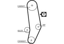 Timing Belt