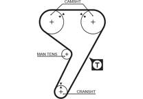 Timing Belt