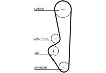 Timing Belt