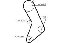 Timing Belt