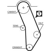 Timing Belt GATES - 5183XS