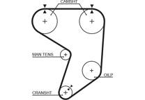 Timing Belt