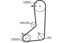 Timing Belt