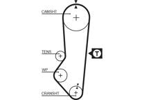 Timing Belt