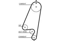Timing Belt