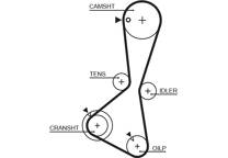 Timing Belt