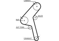 Timing Belt