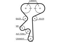 Timing Belt