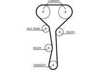 Timing Belt