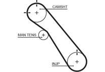 Timing Belt