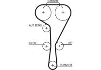 Timing Belt