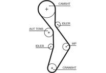 Timing Belt