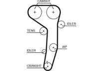 Timing Belt