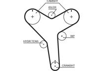 Timing Belt