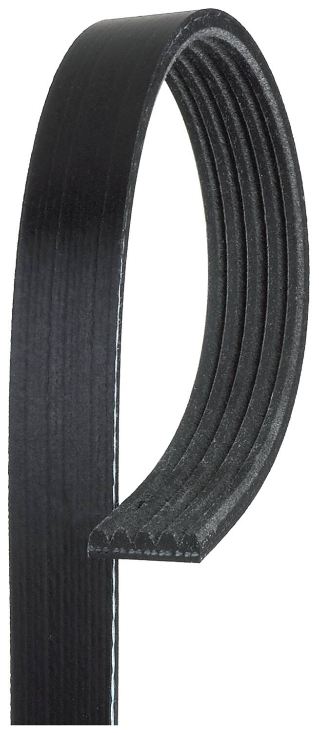 V-Ribbed Belts