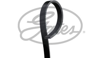 Gates belts cheap by size