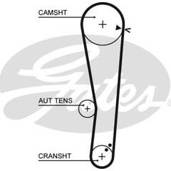 Zahnriemen Hyundai Getz Mister Auto