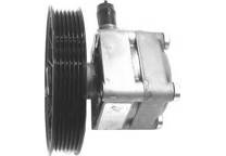 Hydraulic pump steering system