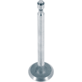 Exhaust Valve BGA - V165751
