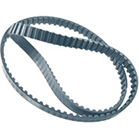 Timing Belt