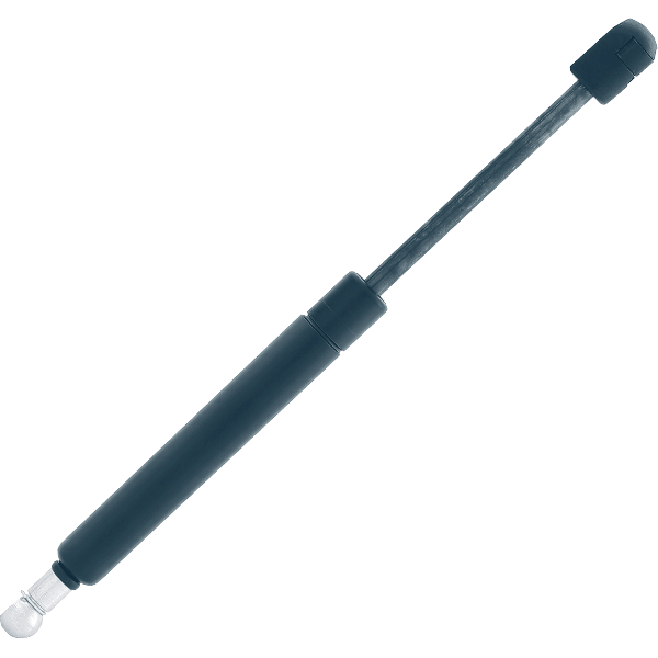 Bonnet gas struts