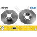 Bremssatz (2 Bremsscheiben) GIRLING - 6017473
