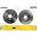 Bremssatz (2 Bremsscheiben) GIRLING - 6026561