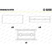 Hoofdlager GLYCO - H1018/5 STD