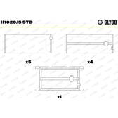Hoofdlager GLYCO - H1020/5 STD