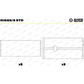 Hoofdlager GLYCO - H1066/5 STD