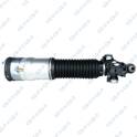 Shock absorber (sold individually) GSP - 30900471