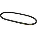 Cinghia Poly-V HART - 305 716