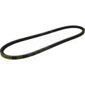 Cinghia Poly-V HART - 338 050