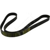 Cinghia Poly-V HART - 368 931
