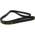 Cinghia Poly-V HART - 368 969