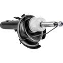 Shock absorber (sold individually) HART - 813 878
