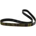 Poly V-riem HART - 334 312