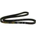 V-Ribbed Belts HART - 305 587