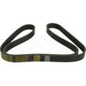 V-Ribbed Belts HART - 917 752