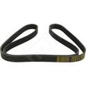 V-Ribbed Belts HART - 917 763