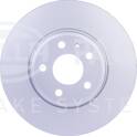 Bremssatz (2 Bremsscheiben) HELLA - 8DD 355 128-711
