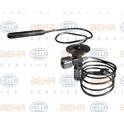 Expansieventiel, airconditioning HELLA - 8UW 351 237-011