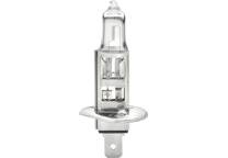 Gloeilamp- koplamp H1
