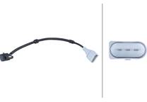 Nokkenassensor
