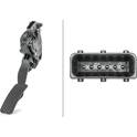 Sensor, Fahrpedalstellung HELLA - 6PV 009 765-731