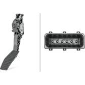 Sensor, Fahrpedalstellung HELLA - 6PV 009 765-741