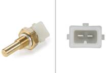 Sensor, temperatura do líquido de refrigeração