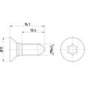 Skruv, bromslamell HELLA - 8DZ 355 209-081