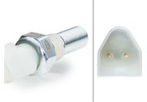 Switch, reverse light
