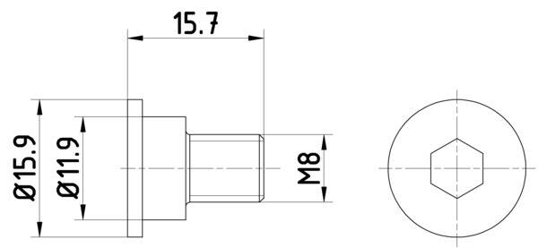 Bolt, brake disc